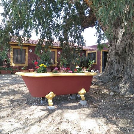 Casa Del Procurador ξενώνας Las Virtudes Εξωτερικό φωτογραφία